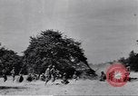 Image of African American soldiers in action in World War 2 European Theater, 1944, second 23 stock footage video 65675074298