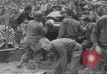 Image of African American soldiers in action in World War 2 European Theater, 1944, second 37 stock footage video 65675074298