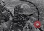 Image of United States soldiers United States USA, 1946, second 33 stock footage video 65675074300