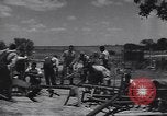 Standbild Ausbildung Tuskegee Airmen Flügel für diesen Mann Tuskegee Alabama USA, 1944, aus Sekunde 52 historischem Filmmaterial Videoclip 65675074302