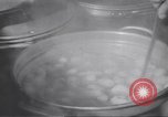 Standbild Cook Indien, 1943, aus Sekunde 29 historischem Filmmaterial Videoclip 65675074305