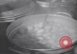Standbild Cook Indien, 1943, aus Sekunde 30 historischem Filmmaterial Videoclip 65675074305