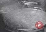 Standbild Cook Indien, 1943, aus Sekunde 32 historischem Filmmaterial Videoclip 65675074305