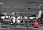 Standbild Boxring Indien, 1943, aus Sekunde 16 historischem Filmmaterial Videoclip 65675074307