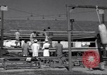 Standbild Boxring Indien, 1943, aus Sekunde 18 historischem Filmmaterial Videoclip 65675074307