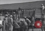 Immagine di Arruolato membri India, 1943, secondo 33 filmato di repertorio 65675074311