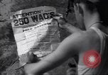 Standbild B-24 Liberator Bomber Indien, 1943, aus Sekunde 19 historischem Filmmaterial Videoclip 65675074312
