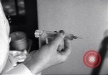 Image of wounded American soldiers New York United States USA, 1944, second 58 stock footage video 65675074315