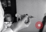 Image of wounded American soldiers New York United States USA, 1944, second 60 stock footage video 65675074315