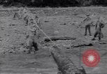 Image soldats nègres l'île de Bougainville en Papouasie-Nouvelle-Guinée, 1944, de la seconde 3 séquences d'archives historiques vidéo 65675074318
