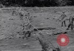 Image soldats nègres l'île de Bougainville en Papouasie-Nouvelle-Guinée, 1944, de la seconde 5 séquences d'archives historiques vidéo 65675074318