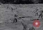 Image soldats nègres l'île de Bougainville en Papouasie-Nouvelle-Guinée, 1944, de la seconde 6 séquences d'archives historiques vidéo 65675074318