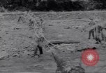 Image soldats nègres l'île de Bougainville en Papouasie-Nouvelle-Guinée, 1944, de la seconde 7 séquences d'archives historiques vidéo 65675074318