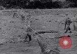 Image soldats nègres l'île de Bougainville en Papouasie-Nouvelle-Guinée, 1944, de la seconde 8 séquences d'archives historiques vidéo 65675074318