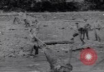 Image soldats nègres l'île de Bougainville en Papouasie-Nouvelle-Guinée, 1944, de la seconde 9 séquences d'archives historiques vidéo 65675074318