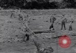 Image soldats nègres l'île de Bougainville en Papouasie-Nouvelle-Guinée, 1944, de la seconde 10 séquences d'archives historiques vidéo 65675074318