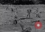 Image soldats nègres l'île de Bougainville en Papouasie-Nouvelle-Guinée, 1944, de la seconde 11 séquences d'archives historiques vidéo 65675074318