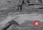 Image soldats nègres l'île de Bougainville en Papouasie-Nouvelle-Guinée, 1944, de la seconde 12 séquences d'archives historiques vidéo 65675074318