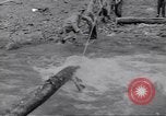 Image soldats nègres l'île de Bougainville en Papouasie-Nouvelle-Guinée, 1944, de la seconde 14 séquences d'archives historiques vidéo 65675074318