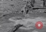 Image soldats nègres l'île de Bougainville en Papouasie-Nouvelle-Guinée, 1944, de la seconde 15 séquences d'archives historiques vidéo 65675074318