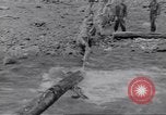 Image soldats nègres l'île de Bougainville en Papouasie-Nouvelle-Guinée, 1944, de la seconde 16 séquences d'archives historiques vidéo 65675074318