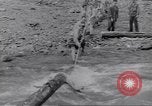 Image soldats nègres l'île de Bougainville en Papouasie-Nouvelle-Guinée, 1944, de la seconde 17 séquences d'archives historiques vidéo 65675074318