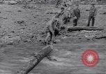 Image soldats nègres l'île de Bougainville en Papouasie-Nouvelle-Guinée, 1944, de la seconde 19 séquences d'archives historiques vidéo 65675074318