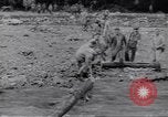 Image soldats nègres l'île de Bougainville en Papouasie-Nouvelle-Guinée, 1944, de la seconde 23 séquences d'archives historiques vidéo 65675074318