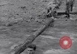 Image soldats nègres l'île de Bougainville en Papouasie-Nouvelle-Guinée, 1944, de la seconde 25 séquences d'archives historiques vidéo 65675074318