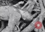 Image soldats nègres l'île de Bougainville en Papouasie-Nouvelle-Guinée, 1944, de la seconde 31 séquences d'archives historiques vidéo 65675074319