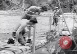 Immagine di Soldati Negro Isola di Bougainville Papua Nuova Guinea, 1944, secondo 4 filmato di repertorio 65675074321