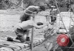 Immagine di Soldati Negro Isola di Bougainville Papua Nuova Guinea, 1944, secondo 5 filmato di repertorio 65675074321
