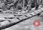Immagine di Soldati Negro Isola di Bougainville Papua Nuova Guinea, 1944, secondo 62 filmato di repertorio 65675074321
