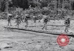 Immagine di Soldati Negro Isola di Bougainville Papua Nuova Guinea, 1944, secondo 22 filmato di repertorio 65675074322