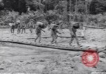 Immagine di Soldati Negro Isola di Bougainville Papua Nuova Guinea, 1944, secondo 28 filmato di repertorio 65675074322