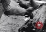 Standbild Negro Soldaten Bougainville Island Papua Neu Guinea, 1944, aus Sekunde 25 historischem Filmmaterial Videoclip 65675074323