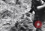 Image soldats nègres l'île de Bougainville en Papouasie-Nouvelle-Guinée, 1944, de la seconde 26 séquences d'archives historiques vidéo 65675074324