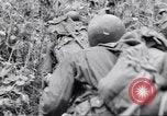 Image soldats nègres l'île de Bougainville en Papouasie-Nouvelle-Guinée, 1944, de la seconde 36 séquences d'archives historiques vidéo 65675074324