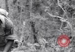Image La campagne des soldats américains africains dans le Pacifique l'île de Bougainville en Papouasie-Nouvelle-Guinée, 1944, de la seconde 5 séquences d'archives historiques vidéo 65675074325