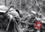 Image La campagne des soldats américains africains dans le Pacifique l'île de Bougainville en Papouasie-Nouvelle-Guinée, 1944, de la seconde 12 séquences d'archives historiques vidéo 65675074325