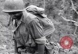 Image La campagne des soldats américains africains dans le Pacifique l'île de Bougainville en Papouasie-Nouvelle-Guinée, 1944, de la seconde 19 séquences d'archives historiques vidéo 65675074325