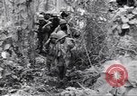Image La campagne des soldats américains africains dans le Pacifique l'île de Bougainville en Papouasie-Nouvelle-Guinée, 1944, de la seconde 22 séquences d'archives historiques vidéo 65675074325