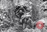 Image La campagne des soldats américains africains dans le Pacifique l'île de Bougainville en Papouasie-Nouvelle-Guinée, 1944, de la seconde 27 séquences d'archives historiques vidéo 65675074325