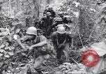 Image La campagne des soldats américains africains dans le Pacifique l'île de Bougainville en Papouasie-Nouvelle-Guinée, 1944, de la seconde 31 séquences d'archives historiques vidéo 65675074325