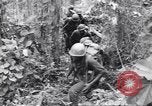 Image La campagne des soldats américains africains dans le Pacifique l'île de Bougainville en Papouasie-Nouvelle-Guinée, 1944, de la seconde 33 séquences d'archives historiques vidéo 65675074325