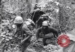 Image La campagne des soldats américains africains dans le Pacifique l'île de Bougainville en Papouasie-Nouvelle-Guinée, 1944, de la seconde 34 séquences d'archives historiques vidéo 65675074325