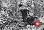 Image La campagne des soldats américains africains dans le Pacifique l'île de Bougainville en Papouasie-Nouvelle-Guinée, 1944, de la seconde 38 séquences d'archives historiques vidéo 65675074325