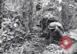 Image La campagne des soldats américains africains dans le Pacifique l'île de Bougainville en Papouasie-Nouvelle-Guinée, 1944, de la seconde 39 séquences d'archives historiques vidéo 65675074325