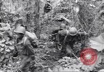 Image La campagne des soldats américains africains dans le Pacifique l'île de Bougainville en Papouasie-Nouvelle-Guinée, 1944, de la seconde 41 séquences d'archives historiques vidéo 65675074325