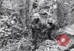 Image La campagne des soldats américains africains dans le Pacifique l'île de Bougainville en Papouasie-Nouvelle-Guinée, 1944, de la seconde 43 séquences d'archives historiques vidéo 65675074325